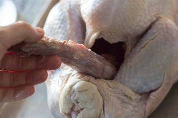 the turkey gross insides